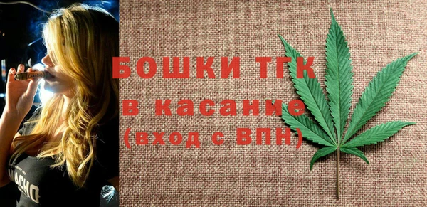 сатива Арсеньев