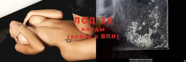 амф Аркадак