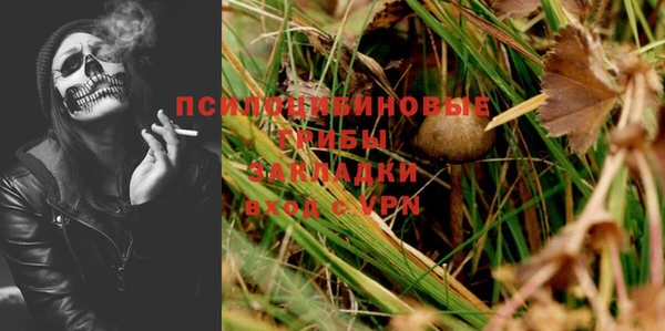 бошки Армянск