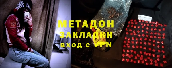 сатива Арсеньев