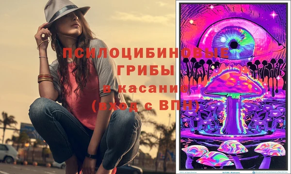 бошки Армянск